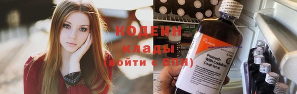 шишки Балабаново