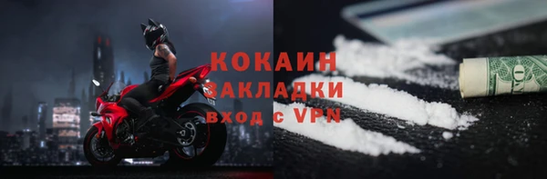 шишки Балабаново