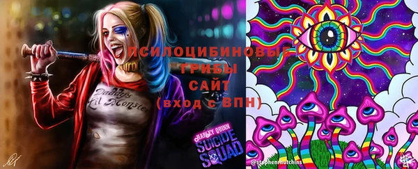 Альфа ПВП Баксан