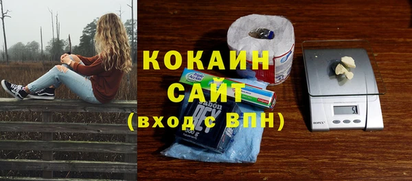 шишки Балабаново