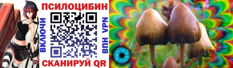 где найти   Саратов  Псилоцибиновые грибы GOLDEN TEACHER 